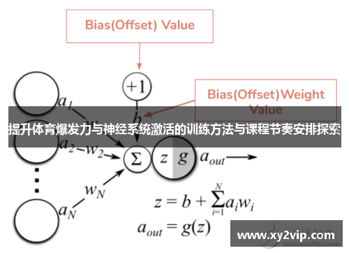 提升体育爆发力与神经系统激活的训练方法与课程节奏安排探索