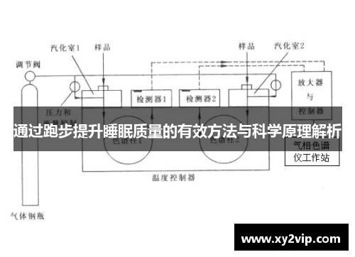 通过跑步提升睡眠质量的有效方法与科学原理解析
